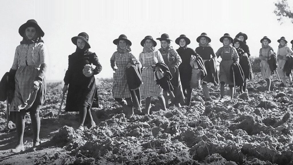 Museu da Ruralidade exposicao Mulheres nos anos 60 2021 1024x576